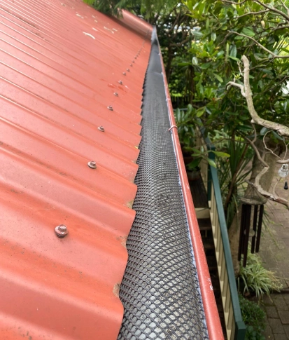 Plastic gutter guard